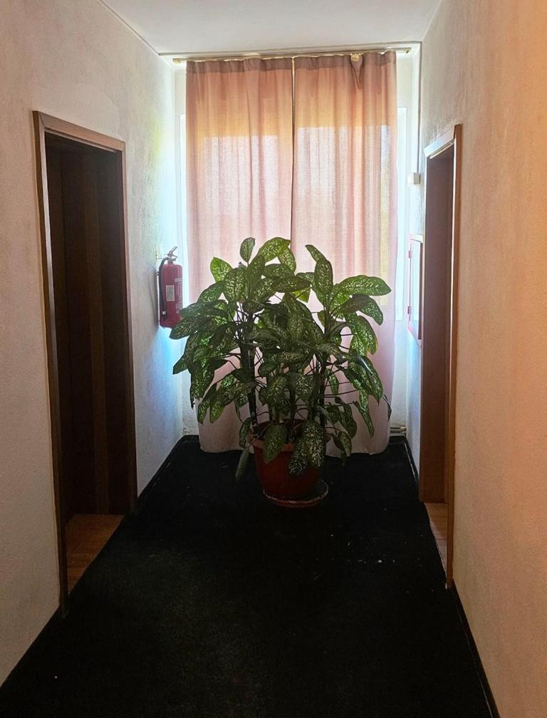 Хостел Casablanca Крайова Экстерьер фото